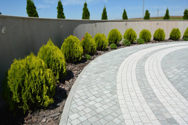 Reasons to Select Us for Your Driveway Paving Requirements in Williamsport, MD